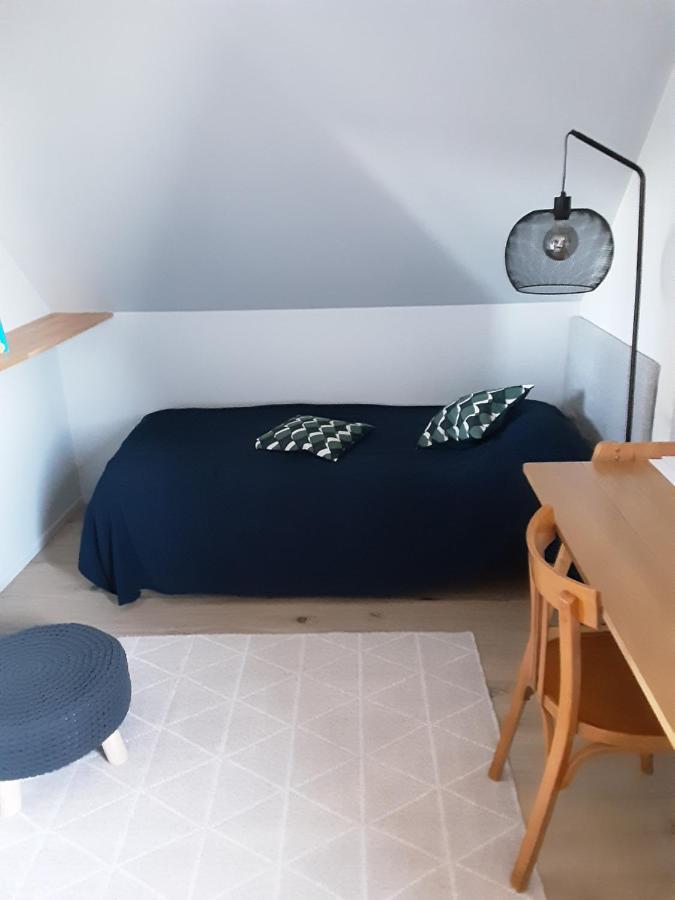 Charmant Appartement A 150 M Des Thermes Et Du Centre Ville Thonon-les-Bains Eksteriør bilde