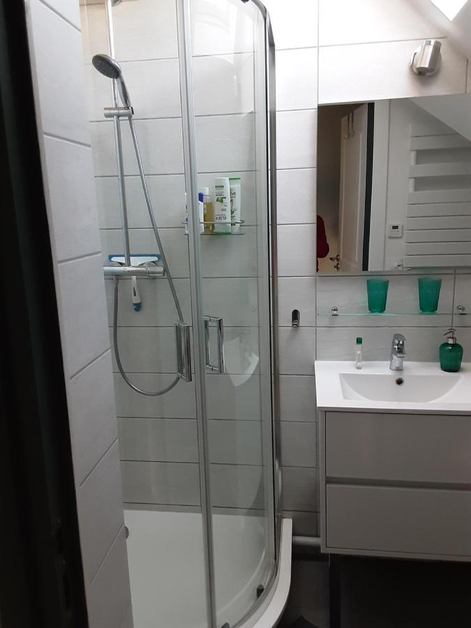 Charmant Appartement A 150 M Des Thermes Et Du Centre Ville Thonon-les-Bains Eksteriør bilde