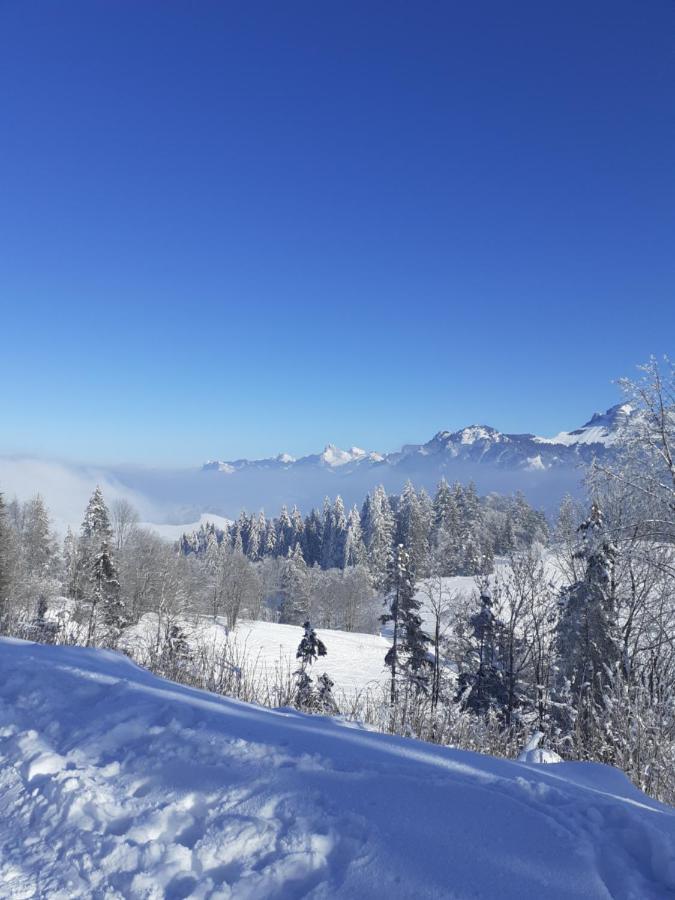 Charmant Appartement A 150 M Des Thermes Et Du Centre Ville Thonon-les-Bains Eksteriør bilde