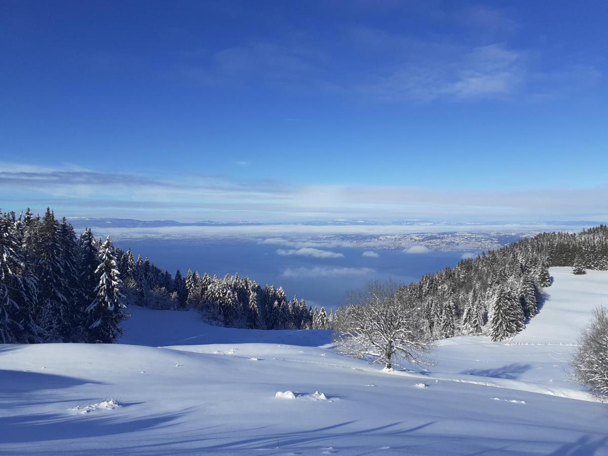 Charmant Appartement A 150 M Des Thermes Et Du Centre Ville Thonon-les-Bains Eksteriør bilde