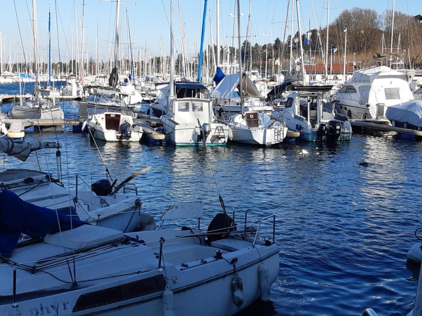 Charmant Appartement A 150 M Des Thermes Et Du Centre Ville Thonon-les-Bains Eksteriør bilde